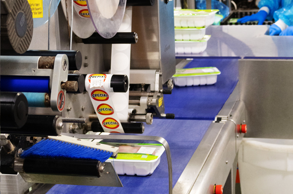 Mt Barker Chicken Tray Labelling Production Line